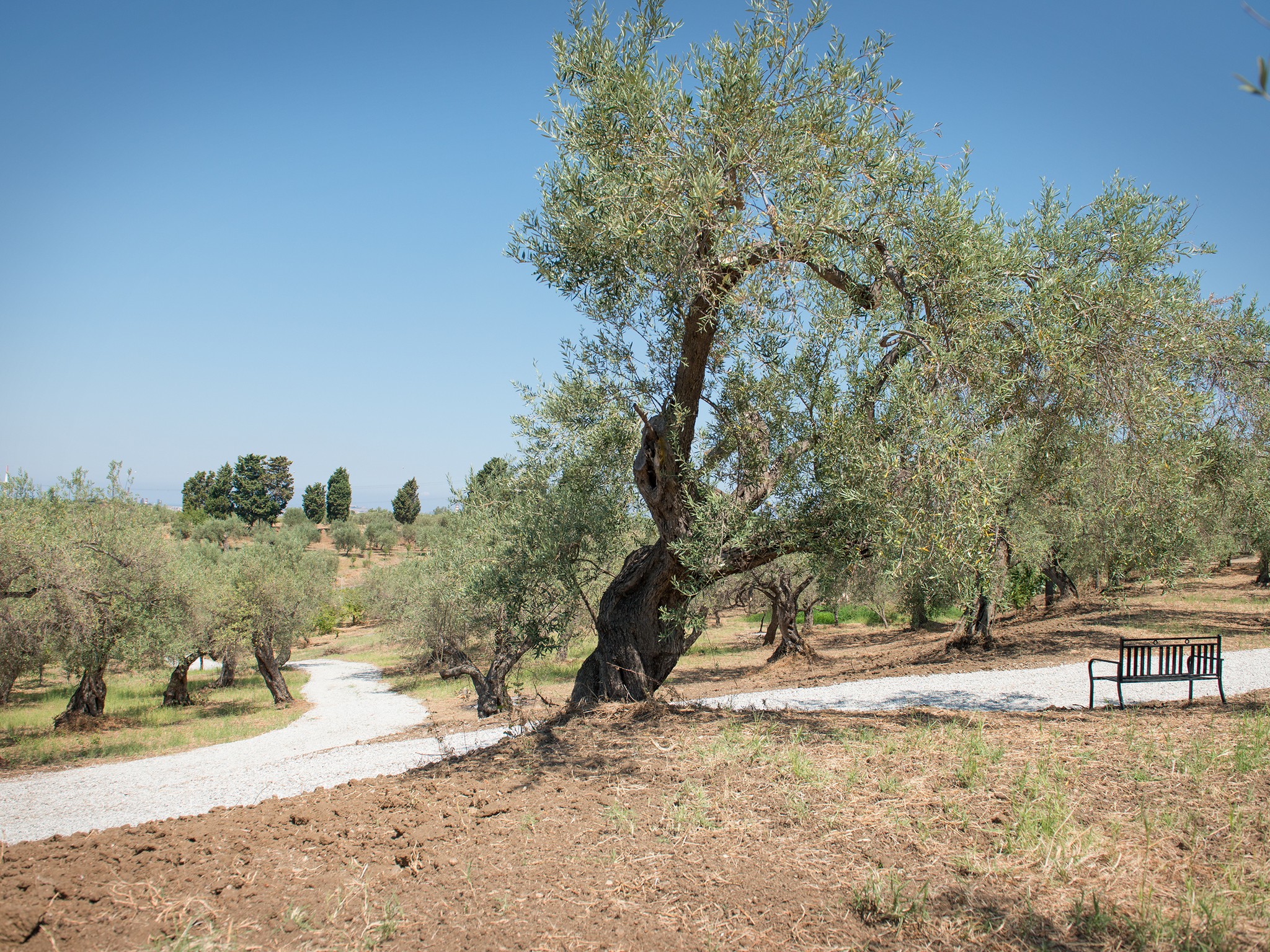 Vialetti per passeggiare in campagna al B&B Don Gaspano