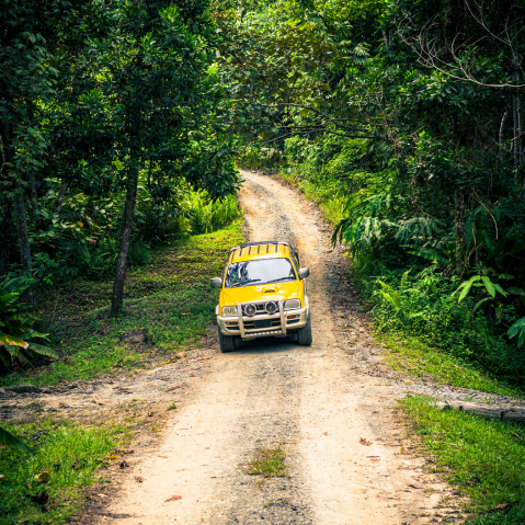 Off-road excursions on mounts Nebrodi